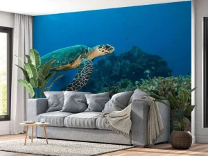 Discount Karetschildpad bij een koraalrif fotobehang Dieren