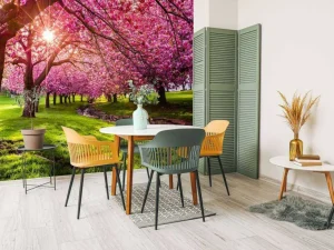 Fashion Kersenbloesem bomen fotobehang Bloemen