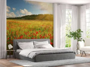 Best Klaprozen met Zonsondergang fotobehang Bloemen