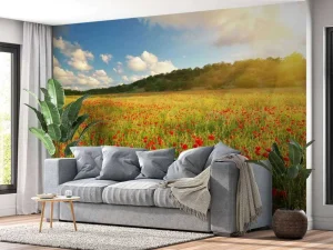 Best Klaprozen met Zonsondergang fotobehang Bloemen