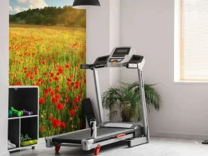 Best Klaprozen met Zonsondergang fotobehang Bloemen