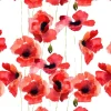 Online Klaprozen van waterverf Bloemen