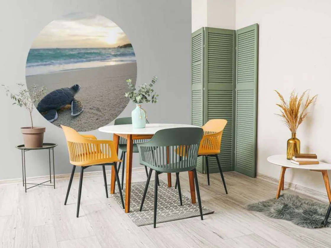kleine_schildpad_op_het_s_5.webp Sale Kleine schildpad op het strand fotobehang Tienerkamer | Kinderkamer