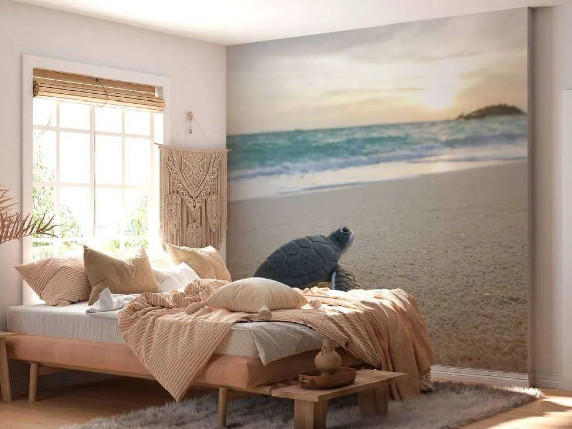 kleine_schildpad_op_het_s_9.webp Sale Kleine schildpad op het strand fotobehang Tienerkamer | Kinderkamer
