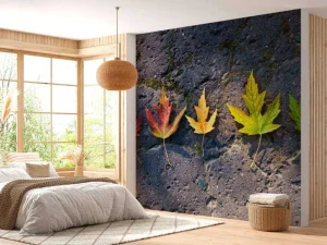 Outlet Kleurrijke bladeren in de herfst fotobehang Bloemen