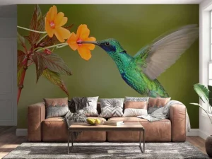 Clearance Kleurrijke Kolibrie op Bloem fotobehang Dieren | Bloemen
