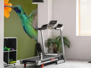 Clearance Kleurrijke Kolibrie op Bloem fotobehang Dieren | Bloemen