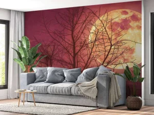 Fashion Kleurrijke maan design fotobehang Bloemen