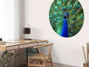 Sale Kleurrijke Pauw fotobehang Dieren
