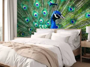 Sale Kleurrijke Pauw fotobehang Dieren