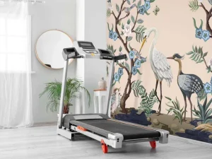 Discount Kleurrijke reigers Dieren
