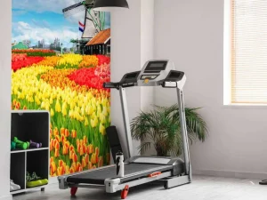 Hot Kleurrijke tulpen creatie fotobehang Steden | Architectuur