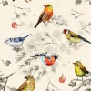 Outlet Kleurrijke vogeltjes textuur fotobehang Gang | Dieren