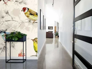 Outlet Kleurrijke vogeltjes textuur fotobehang Gang | Dieren