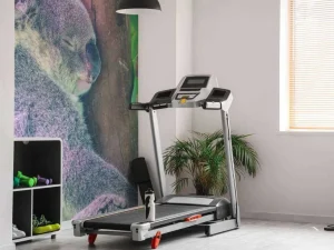 Outlet Koala aan het slapen fotobehang Kinderkamer | Dieren