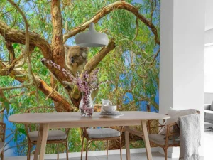 New Koala in een Eucalyptus boom fotobehang Dieren | Bloemen