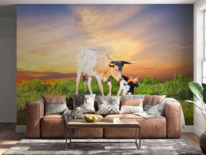 Fashion Koe en Kalf zonsondergang fotobehang Dieren