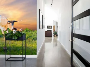 Fashion Koe en Kalf zonsondergang fotobehang Dieren