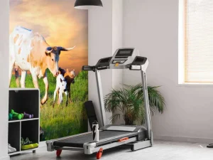 Fashion Koe en Kalf zonsondergang fotobehang Dieren