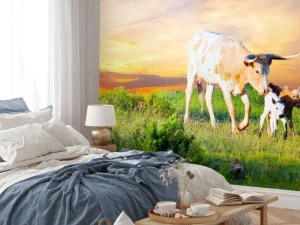 Fashion Koe en Kalf zonsondergang fotobehang Dieren