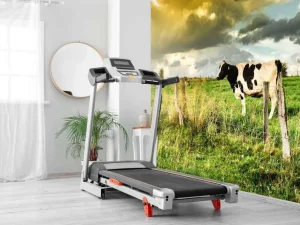 Discount Koe tijdens zonsondergang fotobehang Steden | Architectuur