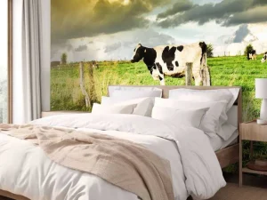 Discount Koe tijdens zonsondergang fotobehang Steden | Architectuur