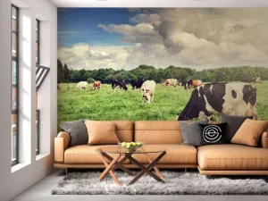 Clearance Koeien grazen in weide fotobehang Steden | Architectuur