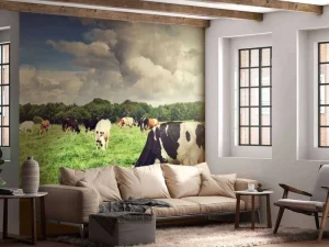 Clearance Koeien grazen in weide fotobehang Steden | Architectuur