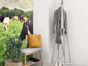 Clearance Koeien grazen in weide fotobehang Steden | Architectuur