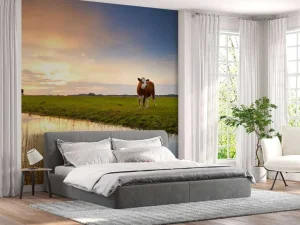 Fashion Koeien in een weiland fotobehang Steden | Architectuur