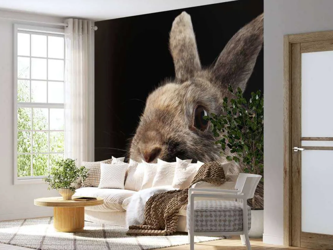 konijn_met_een_zwarte_ach_10.webp Best Konijn met een zwarte achtergrond fotobehang Kinderkamer | Dieren