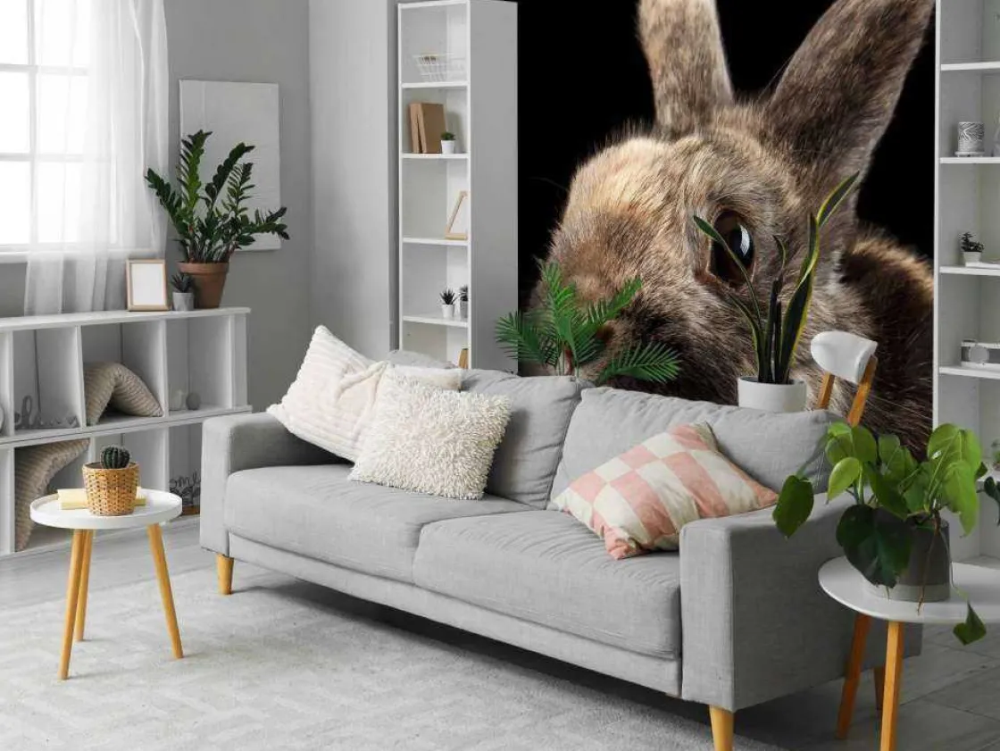 konijn_met_een_zwarte_ach_2.webp Best Konijn met een zwarte achtergrond fotobehang Kinderkamer | Dieren