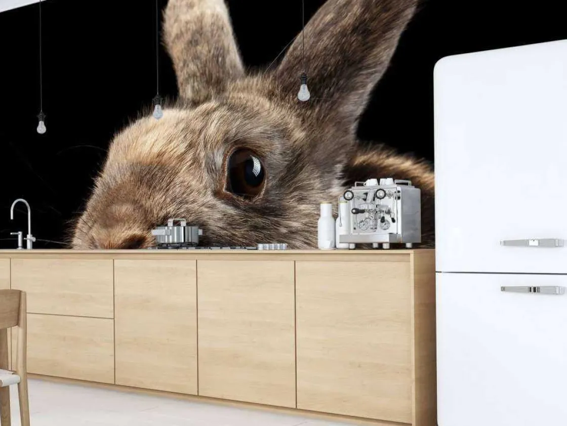 konijn_met_een_zwarte_ach_7.webp Best Konijn met een zwarte achtergrond fotobehang Kinderkamer | Dieren