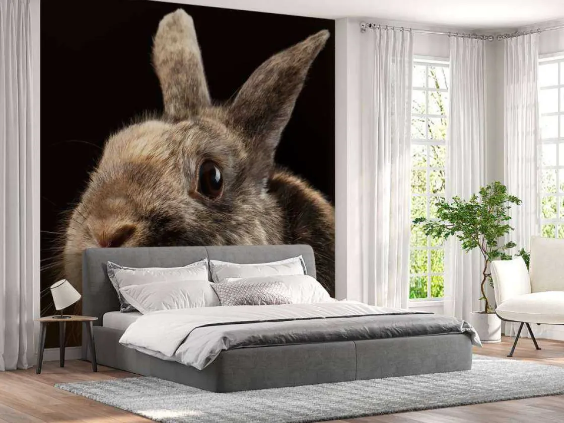 konijn_met_een_zwarte_ach_9.webp Best Konijn met een zwarte achtergrond fotobehang Kinderkamer | Dieren