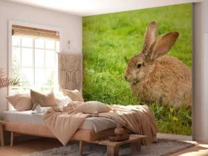 Outlet Konijn op het gras fotobehang Dieren