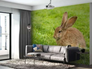 Outlet Konijn op het gras fotobehang Dieren