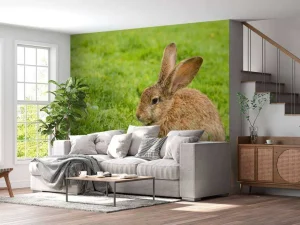 Outlet Konijn op het gras fotobehang Dieren