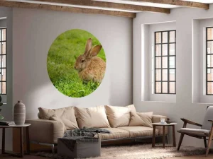 Outlet Konijn op het gras fotobehang Dieren