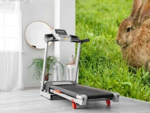Outlet Konijn op het gras fotobehang Dieren