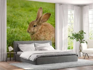 Outlet Konijn op het gras fotobehang Dieren