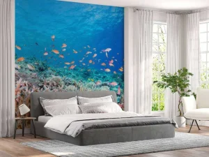 Clearance Koraalrif met kleine visjes fotobehang Dieren