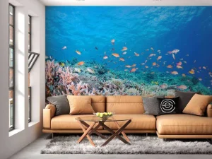 Clearance Koraalrif met kleine visjes fotobehang Dieren
