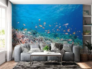 Clearance Koraalrif met kleine visjes fotobehang Dieren