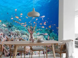 Clearance Koraalrif met kleine visjes fotobehang Dieren