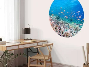 Clearance Koraalrif met kleine visjes fotobehang Dieren
