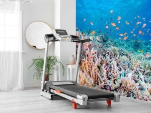 Clearance Koraalrif met kleine visjes fotobehang Dieren