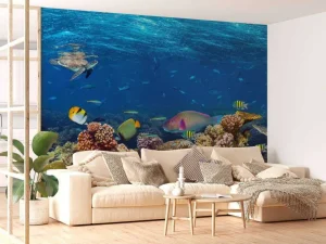Clearance Koraalrif met veel verschillende soorten onderwater dieren fotobehang Dieren