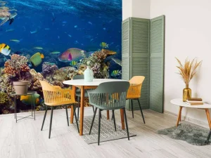 Clearance Koraalrif met veel verschillende soorten onderwater dieren fotobehang Dieren