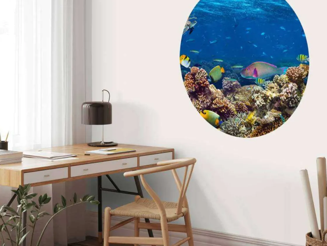 koraalrif_met_veel_versch_7.webp Clearance Koraalrif met veel verschillende soorten onderwater dieren fotobehang Dieren