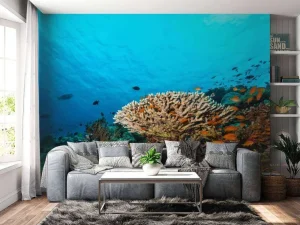 Sale Koraalrif op de bodem van de Indische Oceaan fotobehang Dieren
